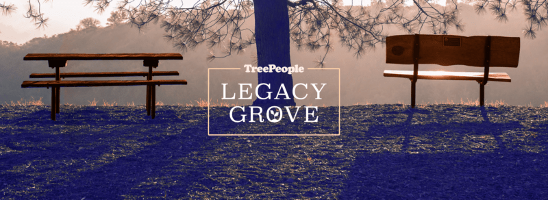 Growing Our Future Together at TreePeople