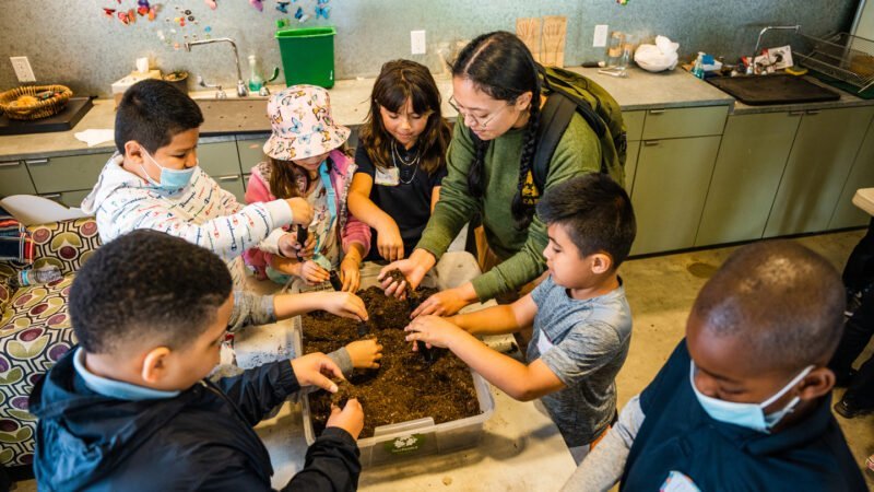 Education & Outdoor Equity
